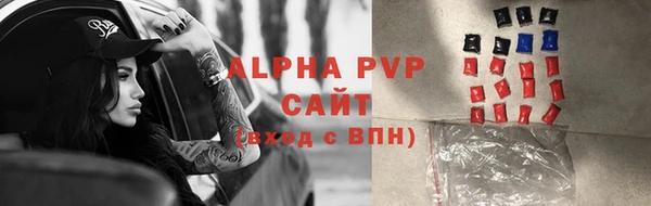 спиды Алзамай