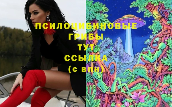 герыч Алексин