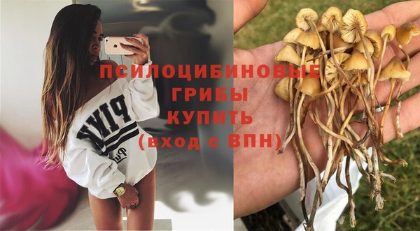 амф Осинники