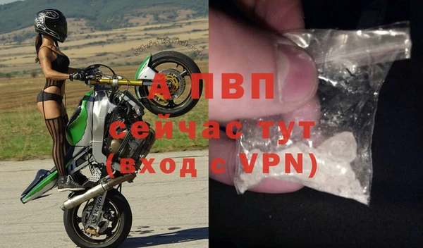 спиды Алзамай