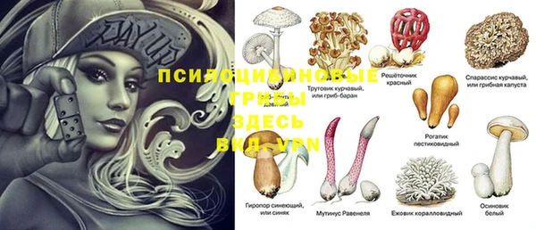 герыч Алексин