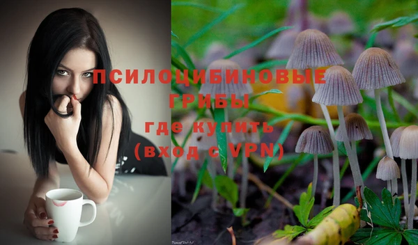 спиды Алзамай