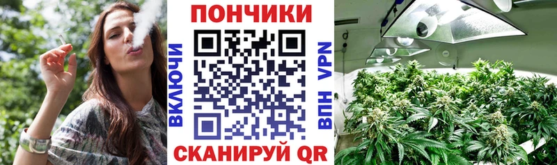 Марихуана сатива где найти наркотики Арсеньев
